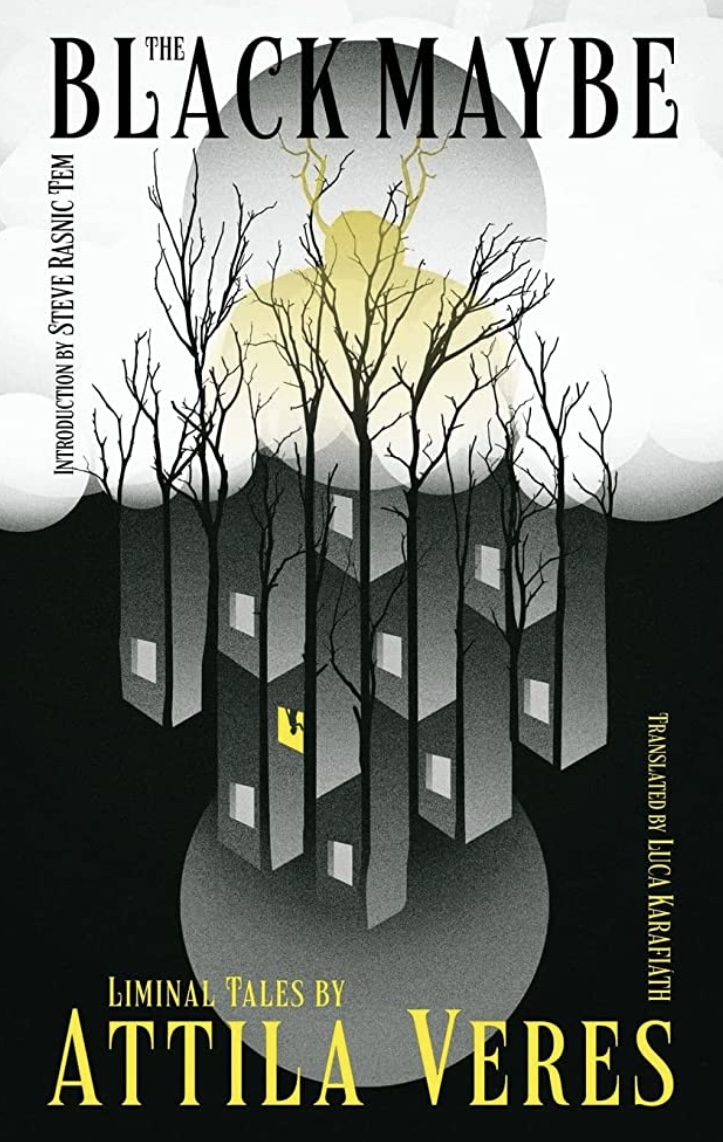 Steve Rasnic Tem, Attila Veres: The Black Maybe (Hardcover, 2022, Valancourt Books)